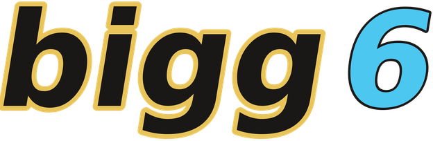 bigg6 logo